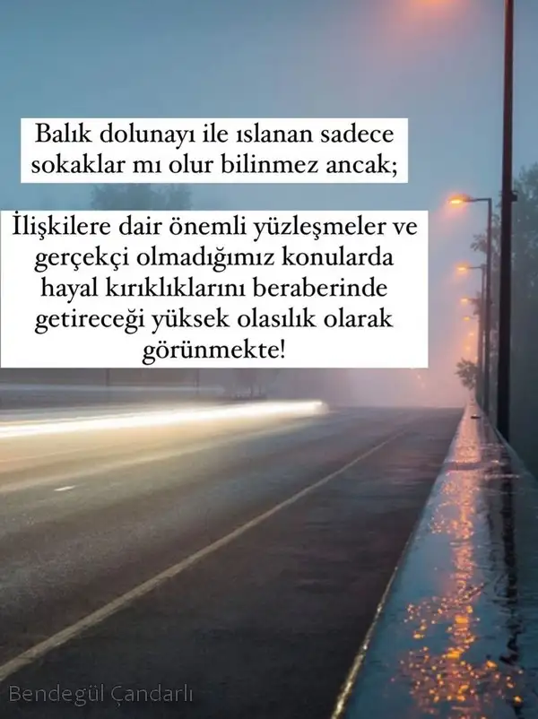balık1 (2).webp