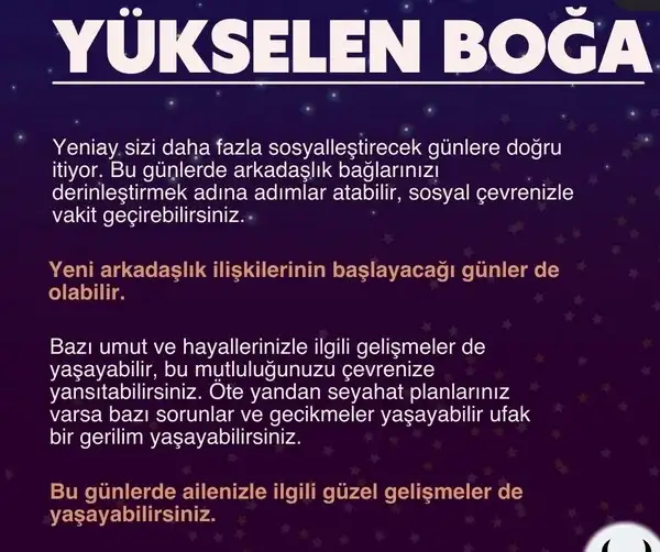 balık1 (3).webp
