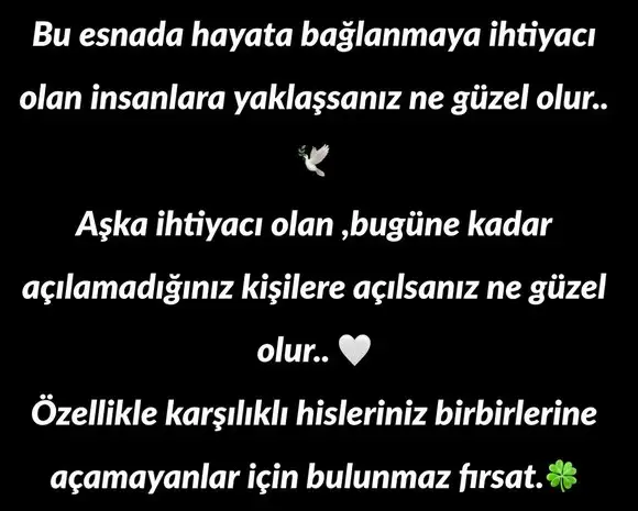 balık1 (3).webp