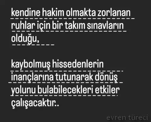balık1 (5).webp