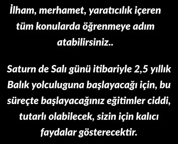 balık1 (5).webp