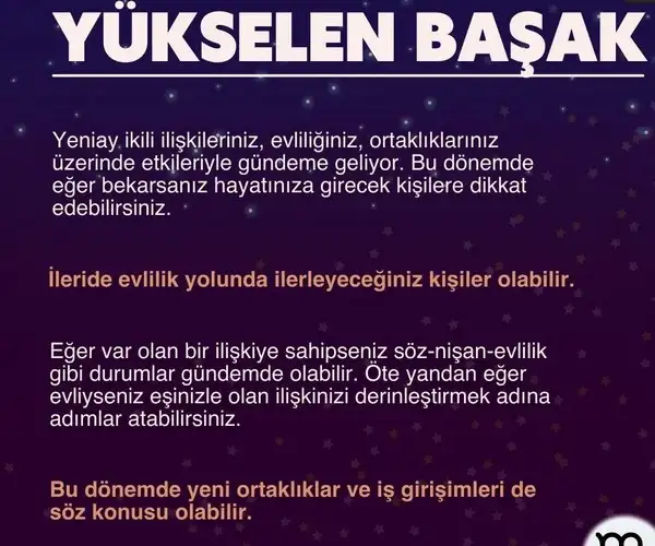 balık1 (7).webp