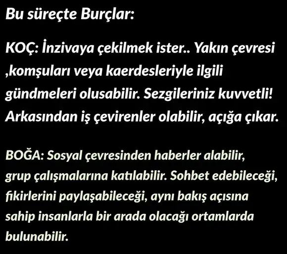 balık1 (7).webp