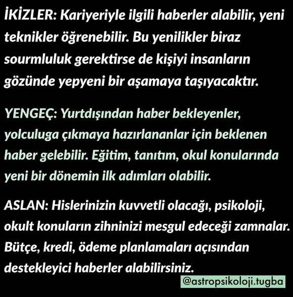 balık1 (8).webp