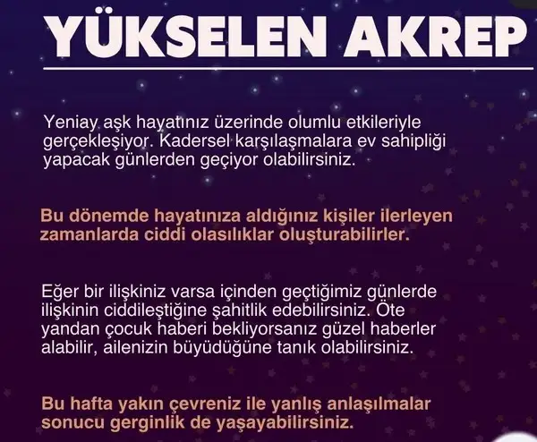 balık1 (9).webp