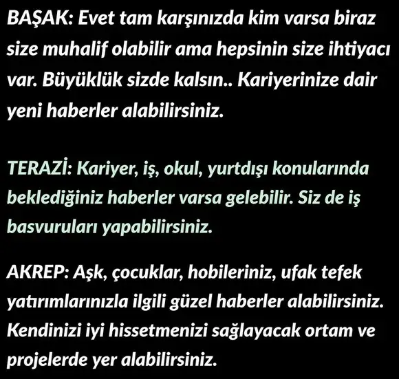 balık1 (9).webp