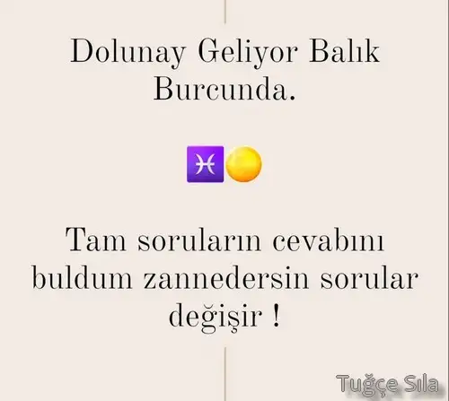 balık1.webp
