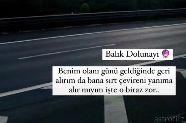 balık1.webp