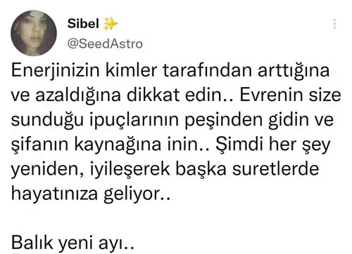 balık1.webp