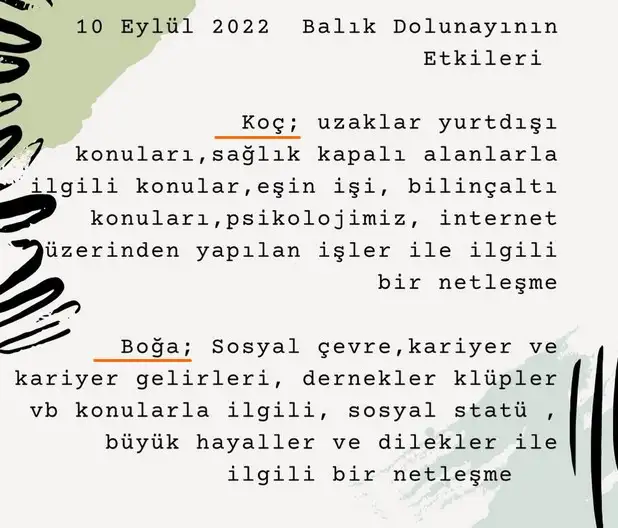 balık10 (1).webp