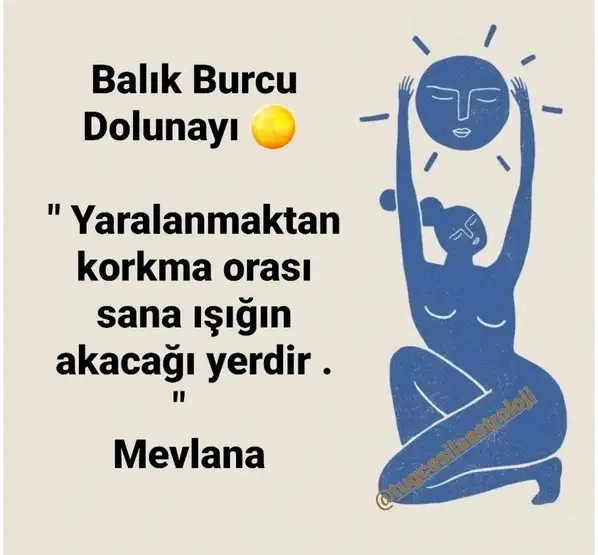 balık10 (1).webp