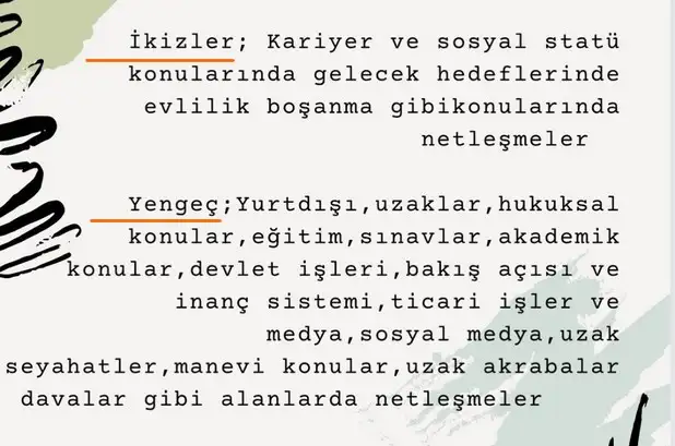 balık10 (2).webp