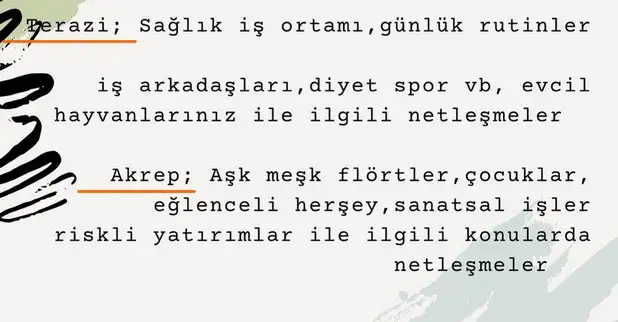 balık10 (4).webp