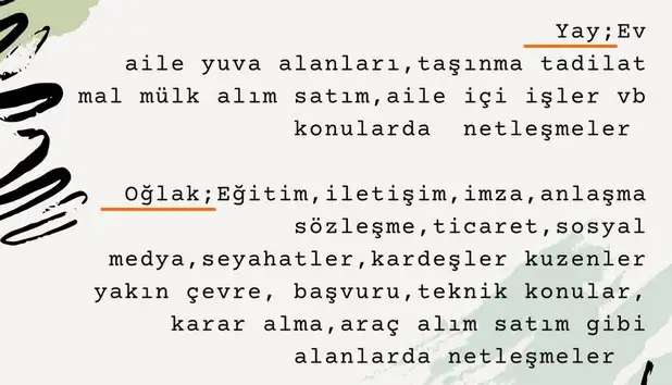 balık10 (5).webp