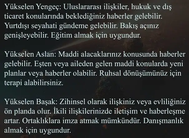 balık10 (5).webp