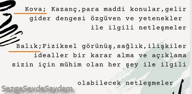 balık10 (6).webp