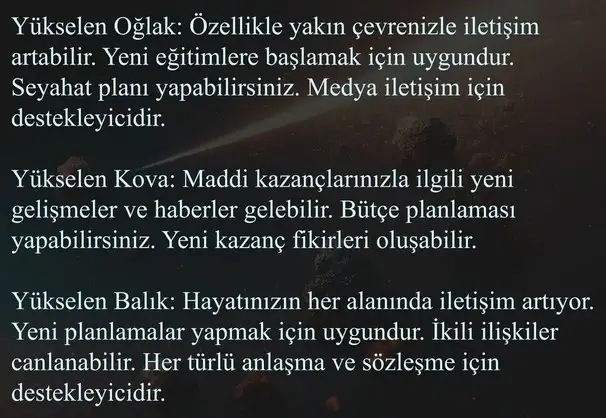 balık10 (7).webp