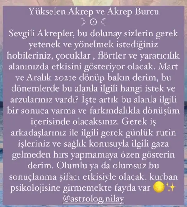 balık10 (8).webp