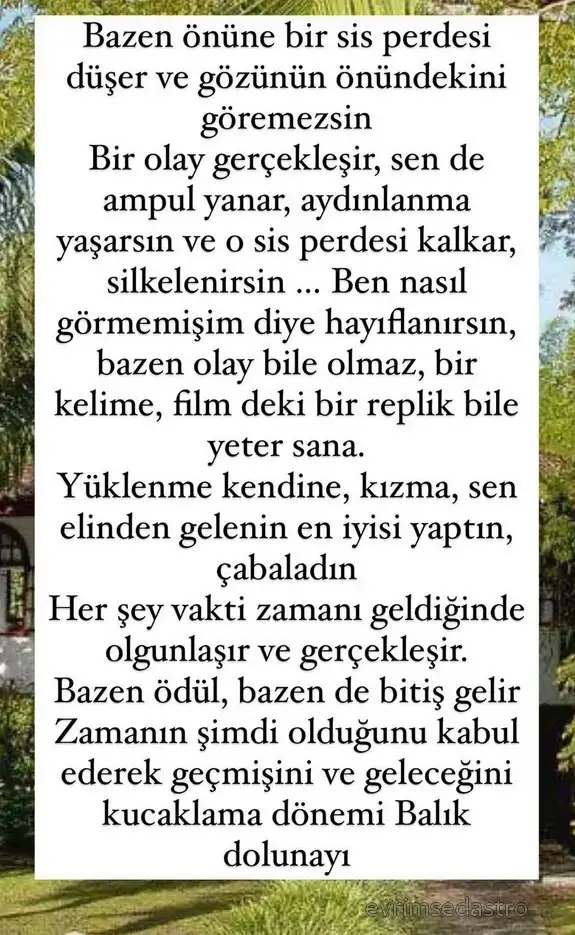 balık10.webp