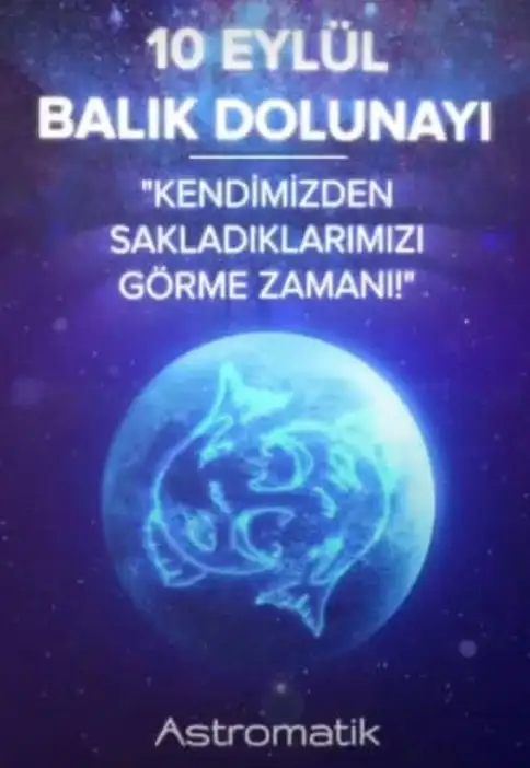 balık100.webp