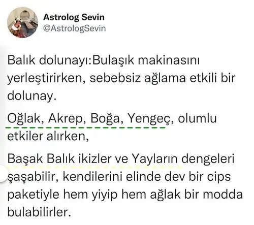 balık11 (1).webp