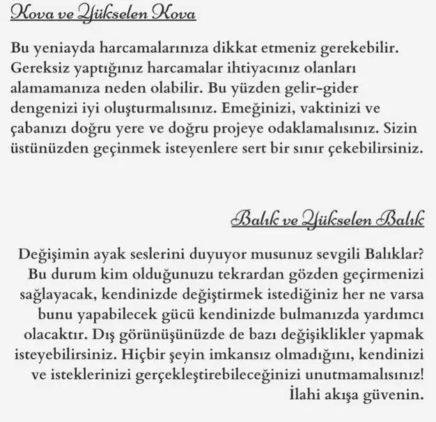 balık11 (10).webp