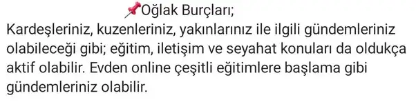 balık11 (12).webp