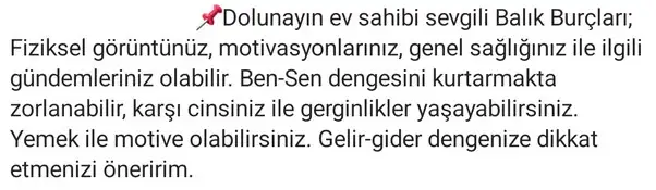 balık11 (14).webp