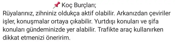 balık11 (2).webp