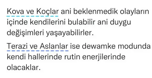 balık11 (2).webp