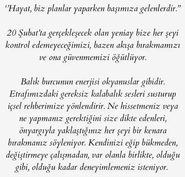 balık11 (2).webp