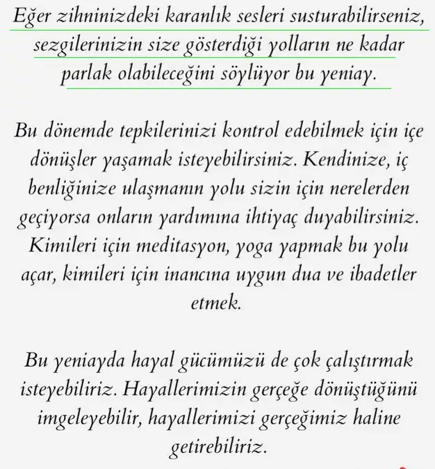 balık11 (3).webp