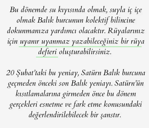 balık11 (4).webp