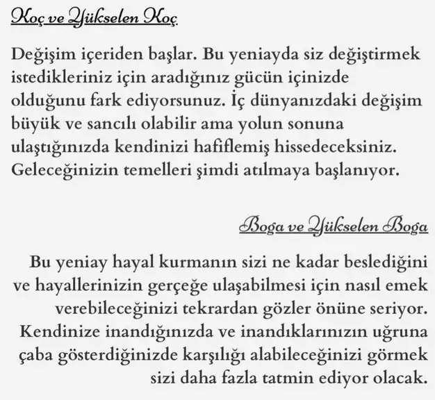 balık11 (5).webp