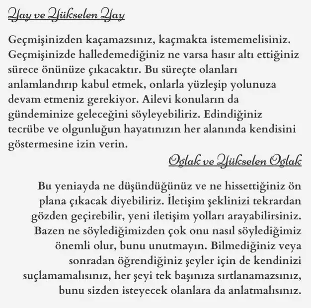 balık11 (9).webp