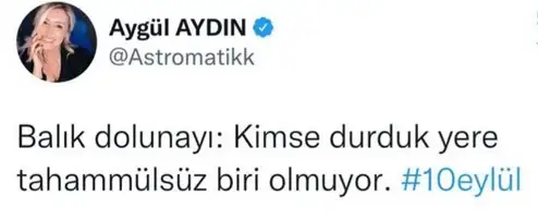 balık11.webp