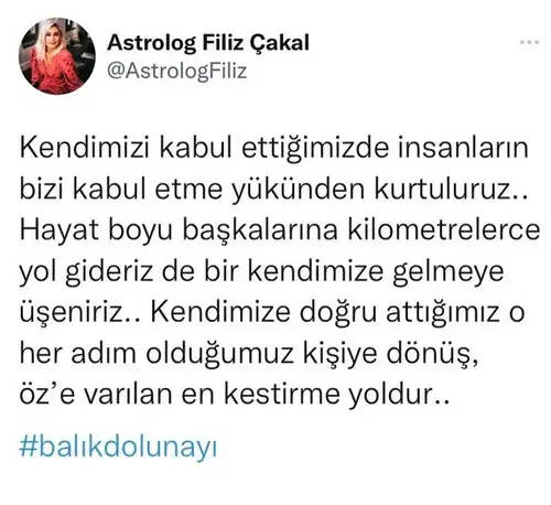 balık12 (1).webp