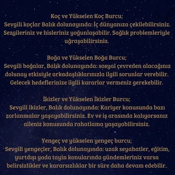 balık12 (1).webp