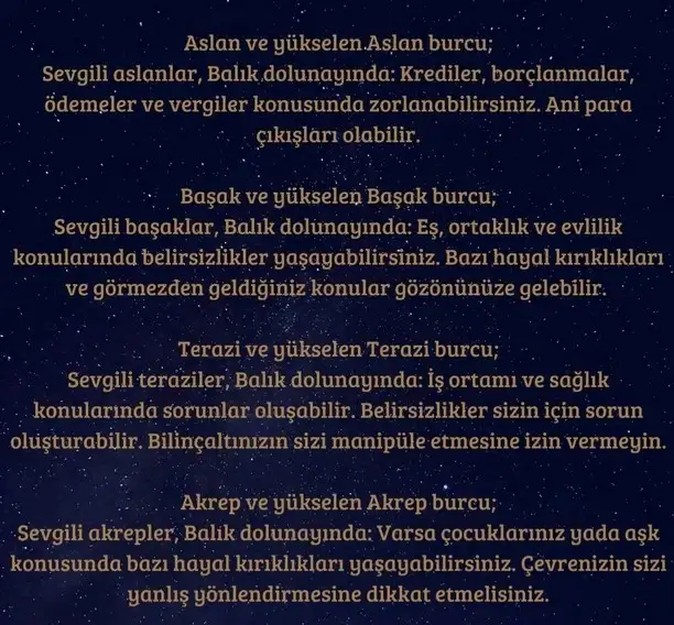 balık12 (2).webp