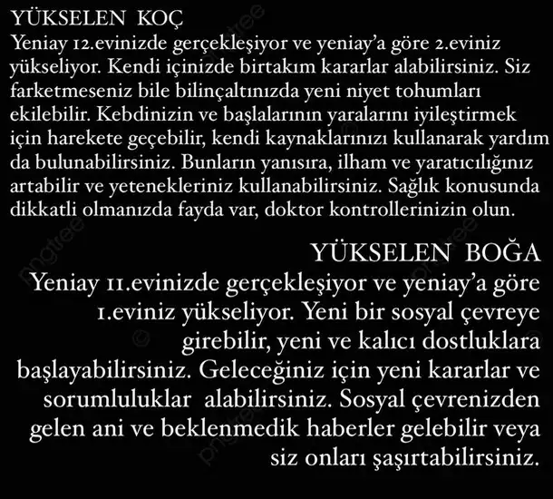 balık12 (2).webp