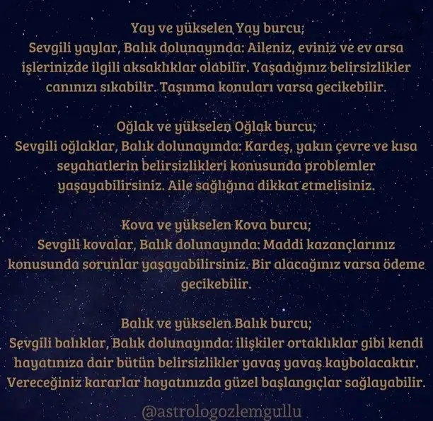 balık12 (3).webp