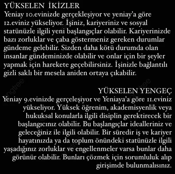 balık12 (3).webp