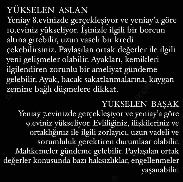 balık12 (4).webp