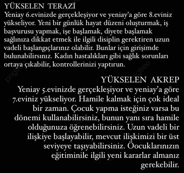 balık12 (5).webp