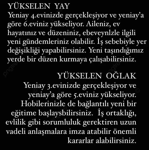 balık12 (6).webp