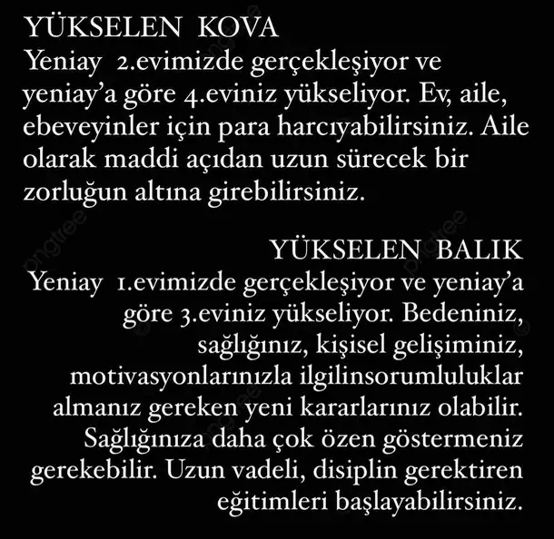 balık12 (7).webp