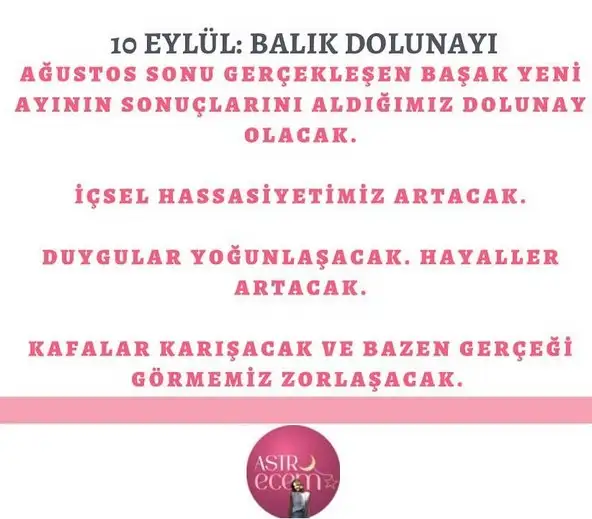 balık12.webp