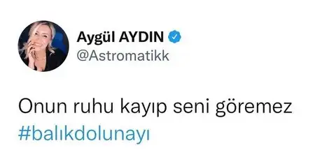 balık12.webp