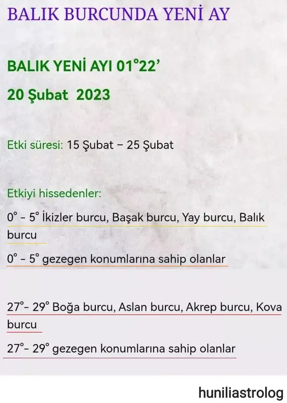 balık13 (2).webp