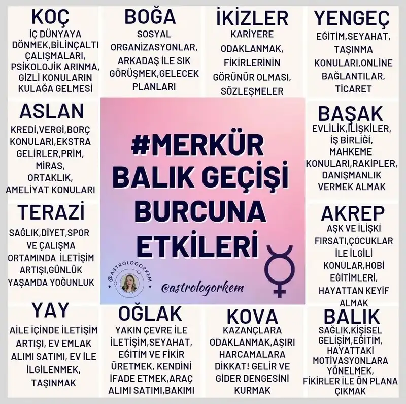 balık13.webp